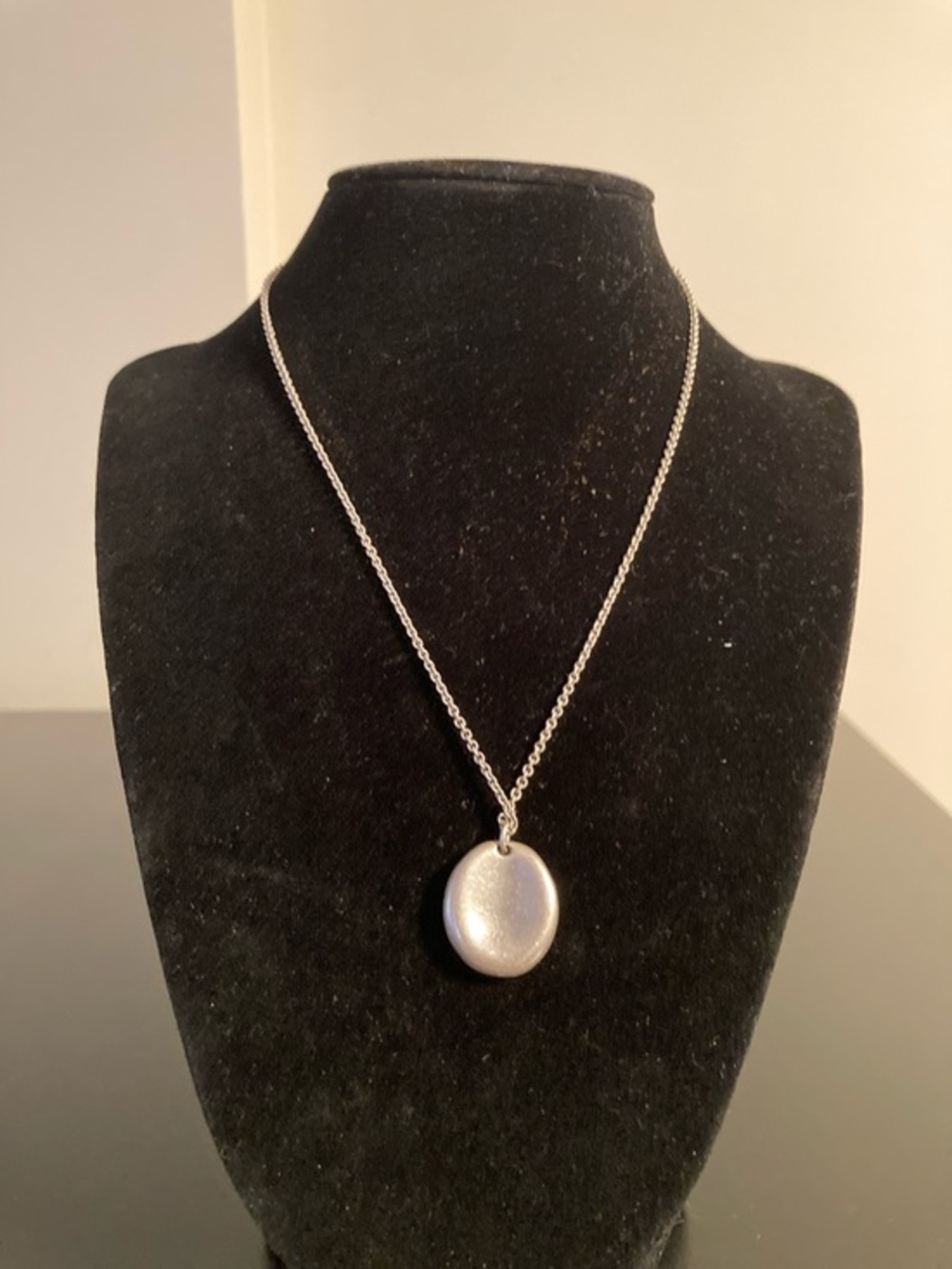 American Eagle Outfitters Silver Round Pendant Necklace